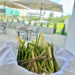 Chřestová nabídka