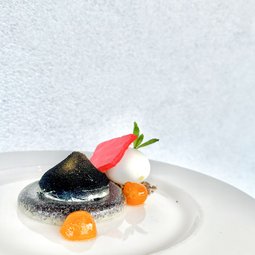 MAKOVÁ PANNA COTTA - rakvička, mák, kumqat, zmrzlina